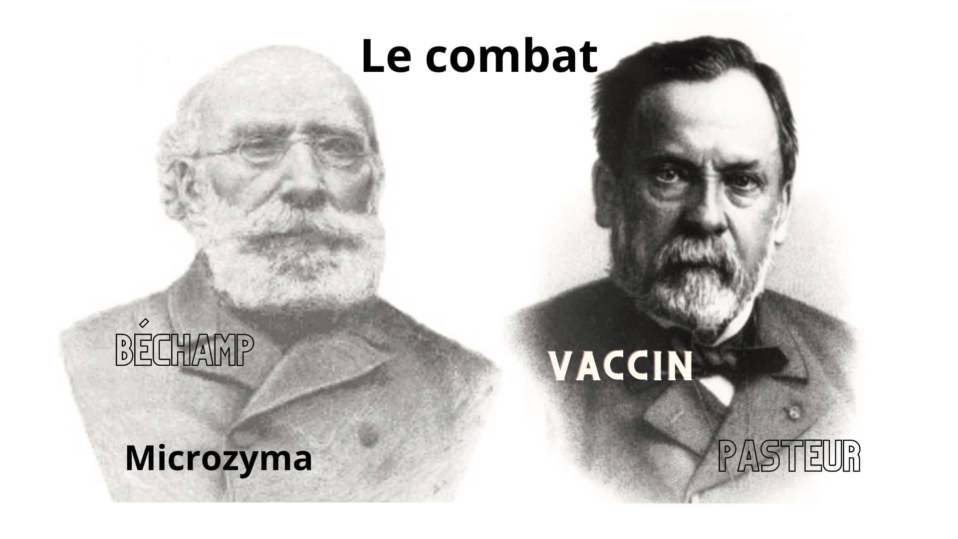 Lire la suite à propos de l’article La vérité sur la médecine (Microzyma)